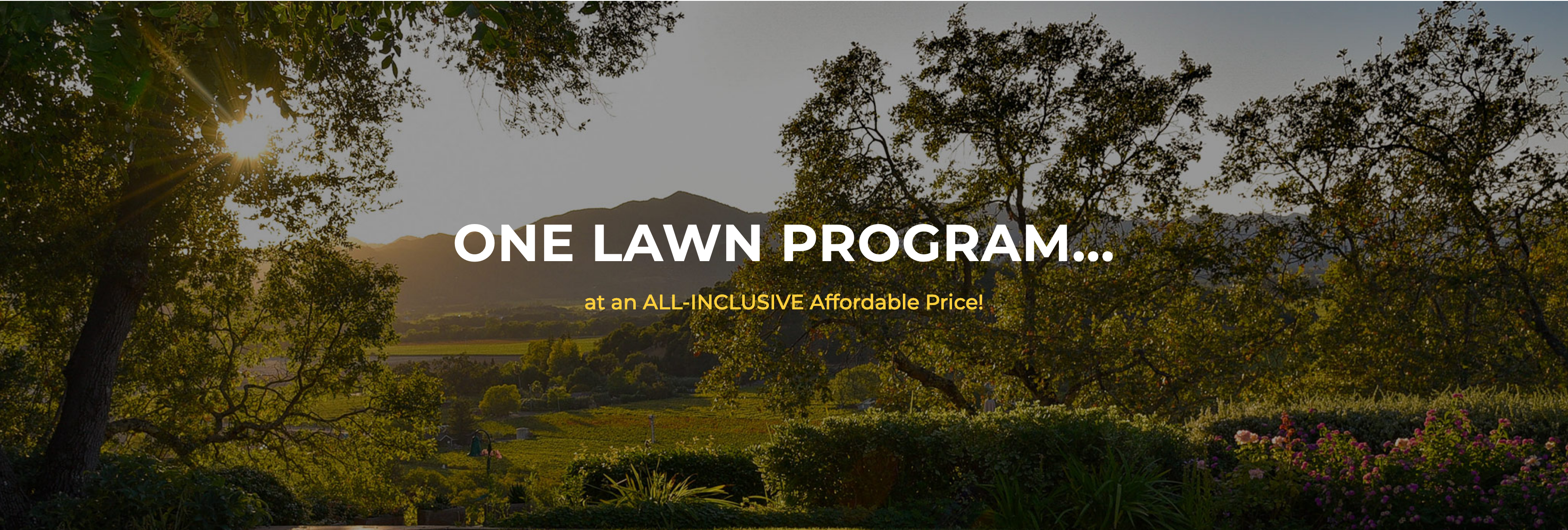 THRIVE'S one affordable lawn program